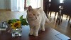 FB IMG 1487626090591