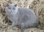 Oliwia1 1