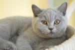  DSC0394a